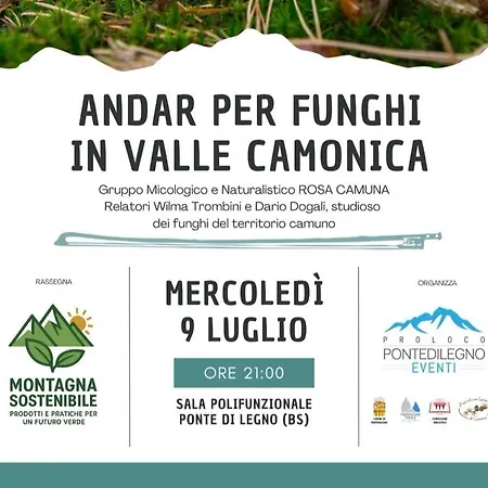 Adamello Peak Two Apartment *